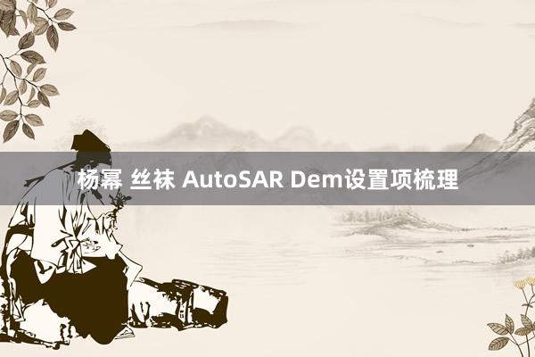 杨幂 丝袜 AutoSAR Dem设置项梳理