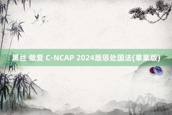 黑丝 做爱 C-NCAP 2024版惩处国法(草案版)