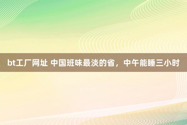 bt工厂网址 中国班味最淡的省，中午能睡三小时