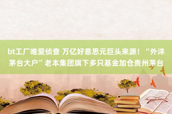 bt工厂唯爱侦查 万亿好意思元巨头来源！“外洋茅台大户”老本集团旗下多只基金加仓贵州茅台