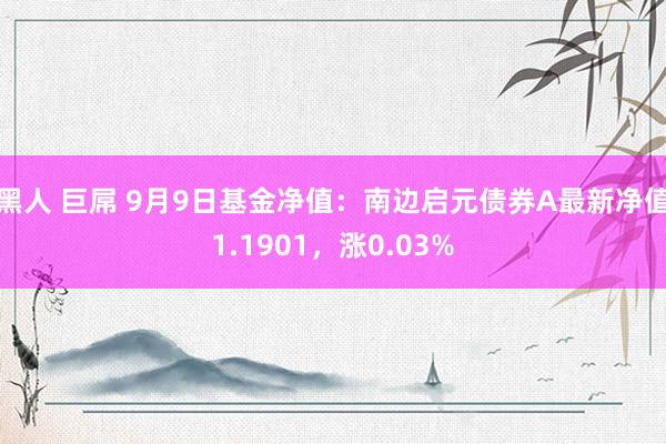 黑人 巨屌 9月9日基金净值：南边启元债券A最新净值1.1901，涨0.03%