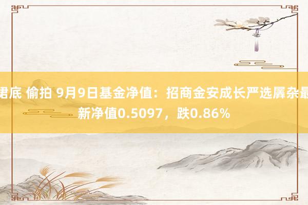 裙底 偷拍 9月9日基金净值：招商金安成长严选羼杂最新净值0.5097，跌0.86%