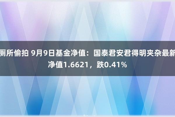 厕所偷拍 9月9日基金净值：国泰君安君得明夹杂最新净值1.6621，跌0.41%