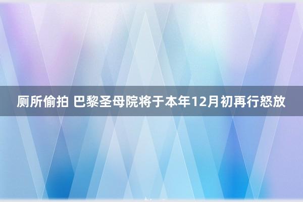 厕所偷拍 巴黎圣母院将于本年12月初再行怒放