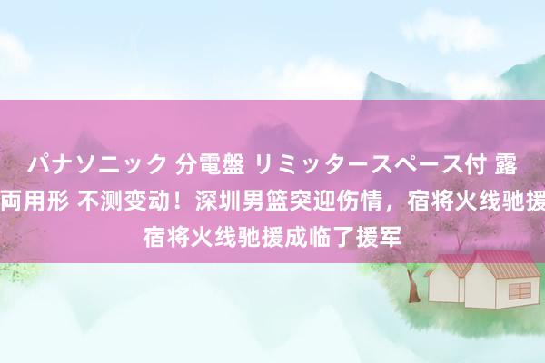 パナソニック 分電盤 リミッタースペース付 露出・半埋込両用形 不测变动！深圳男篮突迎伤情，宿将火线驰援成临了援军