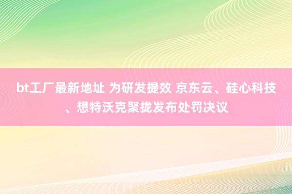 bt工厂最新地址 为研发提效 京东云、硅心科技、想特沃克聚拢发布处罚决议