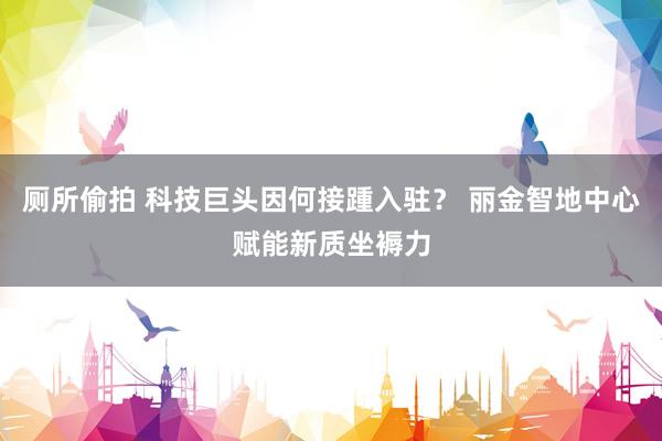 厕所偷拍 科技巨头因何接踵入驻？ 丽金智地中心赋能新质坐褥力