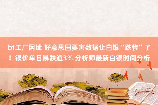 bt工厂网址 好意思国要害数据让白银“跌惨”了！银价单日暴跌逾3% 分析师最新白银时间分析