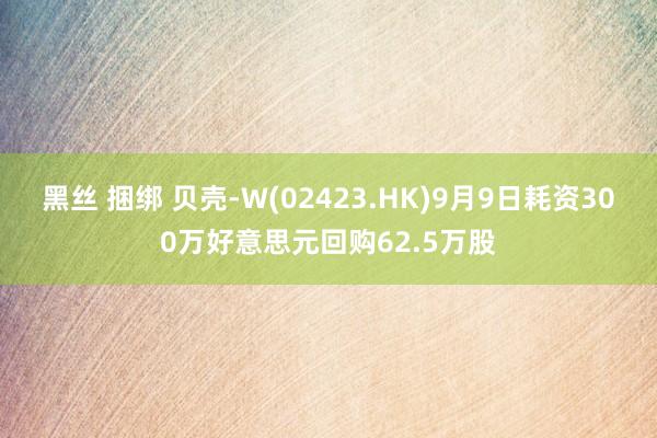 黑丝 捆绑 贝壳-W(02423.HK)9月9日耗资300万好意思元回购62.5万股