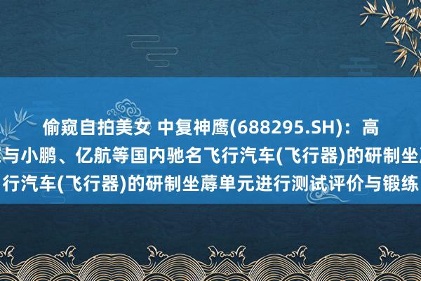 偷窥自拍美女 中复神鹰(688295.SH)：高性能碳纤维材料当今依然在与小鹏、亿航等国内驰名飞行汽车(飞行器)的研制坐蓐单元进行测试评价与锻练