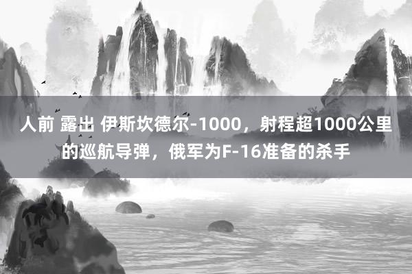 人前 露出 伊斯坎德尔-1000，射程超1000公里的巡航导弹，俄军为F-16准备的杀手