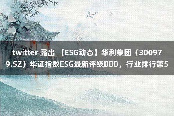 twitter 露出 【ESG动态】华利集团（300979.SZ）华证指数ESG最新评级BBB，行业排行第5