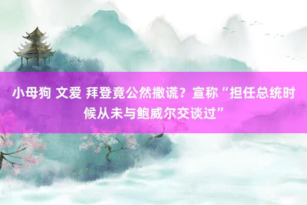 小母狗 文爱 拜登竟公然撒谎？宣称“担任总统时候从未与鲍威尔交谈过”