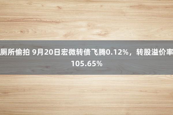 厕所偷拍 9月20日宏微转债飞腾0.12%，转股溢价率105.65%