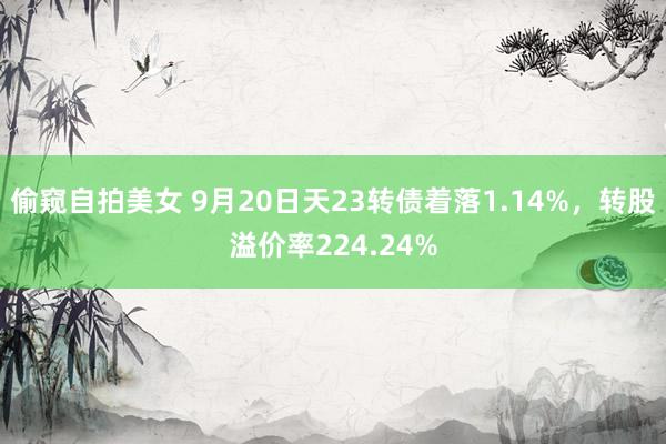 偷窥自拍美女 9月20日天23转债着落1.14%，转股溢价率224.24%