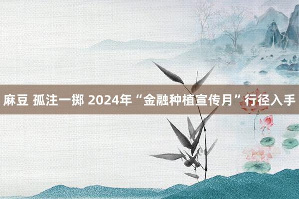 麻豆 孤注一掷 2024年“金融种植宣传月”行径入手