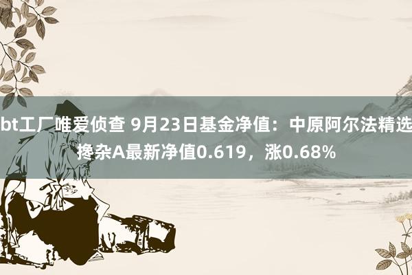 bt工厂唯爱侦查 9月23日基金净值：中原阿尔法精选搀杂A最新净值0.619，涨0.68%