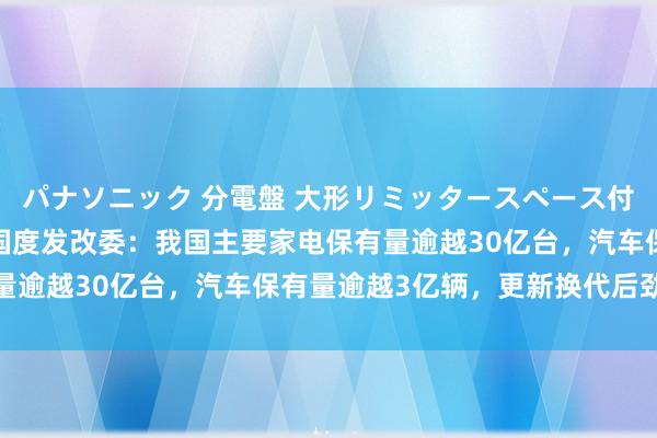 パナソニック 分電盤 大形リミッタースペース付 露出・半埋込両用形 国度发改委：我国主要家电保有量逾越30亿台，汽车保有量逾越3亿辆，更新换代后劲巨大