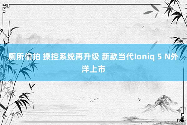 厕所偷拍 操控系统再升级 新款当代Ioniq 5 N外洋上市