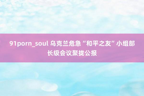 91porn_soul 乌克兰危急“和平之友”小组部长级会议聚拢公报