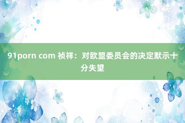 91porn com 祯祥：对欧盟委员会的决定默示十分失望