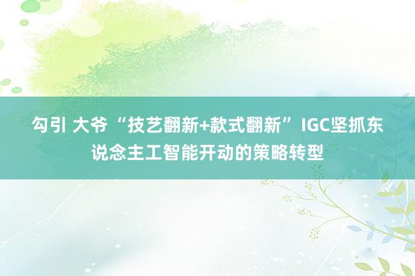 勾引 大爷 “技艺翻新+款式翻新” IGC坚抓东说念主工智能开动的策略转型