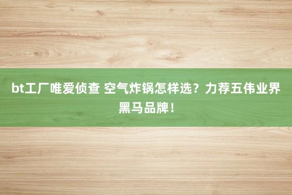 bt工厂唯爱侦查 空气炸锅怎样选？力荐五伟业界黑马品牌！