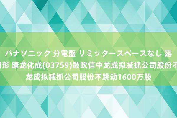 パナソニック 分電盤 リミッタースペースなし 露出・半埋込両用形 康龙化成(03759)鼓吹信中龙成拟减抓公司股份不跳动1600万股