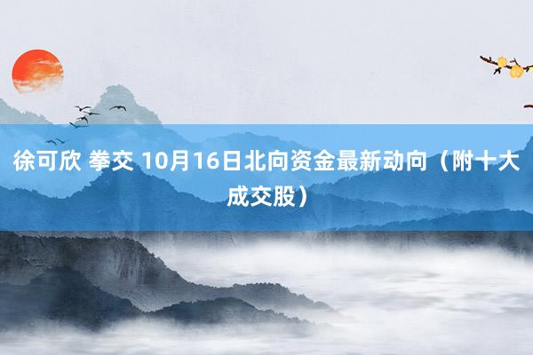 徐可欣 拳交 10月16日北向资金最新动向（附十大成交股）