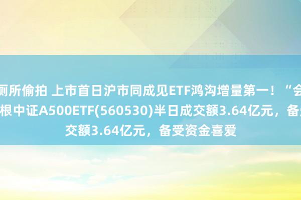 厕所偷拍 上市首日沪市同成见ETF鸿沟增量第一！“会分成的”摩根中证A500ETF(560530)半日成交额3.64亿元，备受资金喜爱