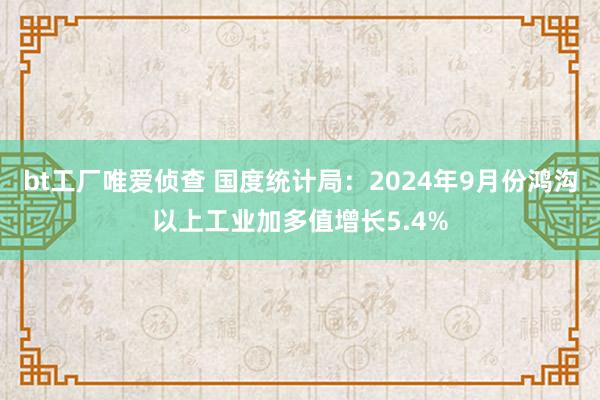 bt工厂唯爱侦查 国度统计局：2024年9月份鸿沟以上工业加多值增长5.4%