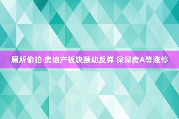 厕所偷拍 房地产板块颤动反弹 深深房A等涨停