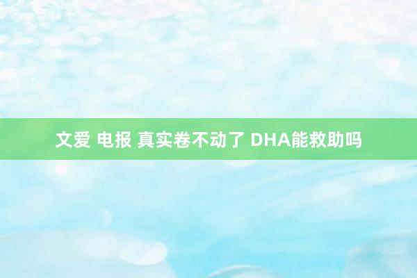 文爱 电报 真实卷不动了 DHA能救助吗