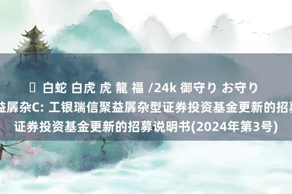 ✨白蛇 白虎 虎 龍 福 /24k 御守り お守り 工银聚益羼杂A，工银聚益羼杂C: 工银瑞信聚益羼杂型证券投资基金更新的招募说明书(2024年第3号)