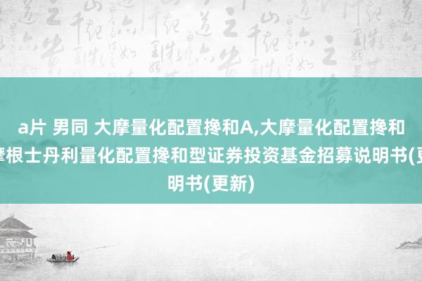 a片 男同 大摩量化配置搀和A，大摩量化配置搀和C: 摩根士丹利量化配置搀和型证券投资基金招募说明书(更新)