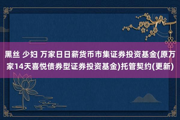 黑丝 少妇 万家日日薪货币市集证券投资基金(原万家14天喜悦债券型证券投资基金)托管契约(更新)