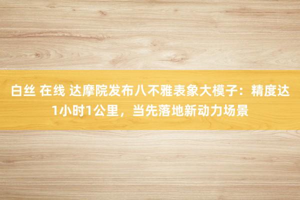 白丝 在线 达摩院发布八不雅表象大模子：精度达1小时1公里，当先落地新动力场景