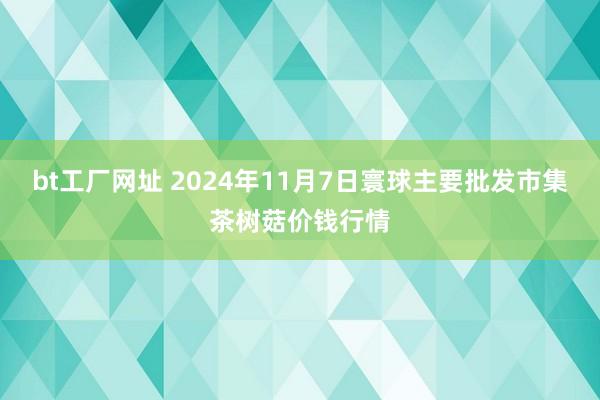 bt工厂网址 2024年11月7日寰球主要批发市集茶树菇价钱行情