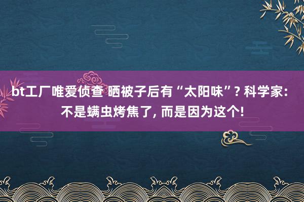 bt工厂唯爱侦查 晒被子后有“太阳味”? 科学家: 不是螨虫烤焦了， 而是因为这个!