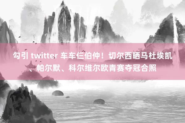 勾引 twitter 车车仨伯仲！切尔西晒马杜埃凯、帕尔默、科尔维尔欧青赛夺冠合照