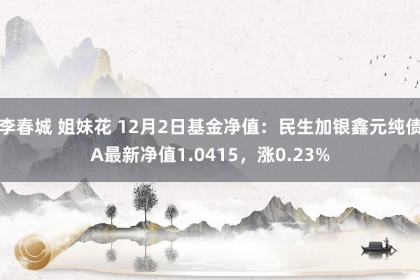 李春城 姐妹花 12月2日基金净值：民生加银鑫元纯债A最新净值1.0415，涨0.23%