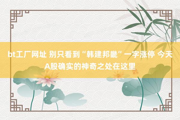 bt工厂网址 别只看到“韩建邦畿”一字涨停 今天A股确实的神奇之处在这里