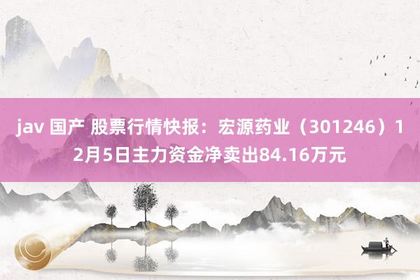 jav 国产 股票行情快报：宏源药业（301246）12月5日主力资金净卖出84.16万元