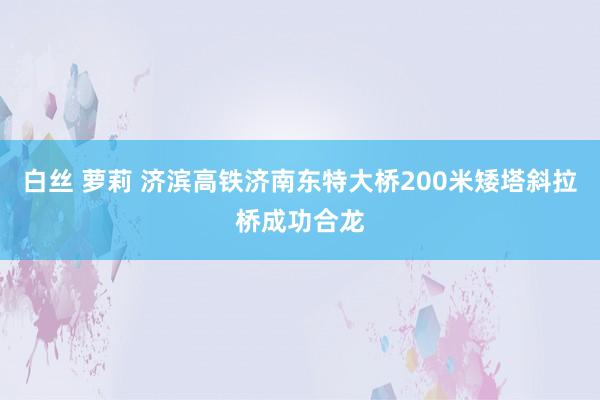 白丝 萝莉 济滨高铁济南东特大桥200米矮塔斜拉桥成功合龙