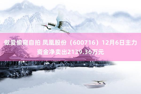 做爱偷窥自拍 凤凰股份（600716）12月6日主力资金净卖出2139.36万元