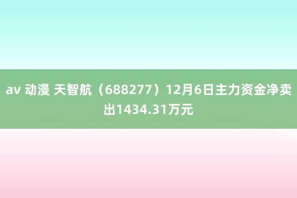 av 动漫 天智航（688277）12月6日主力资金净卖出1434.31万元