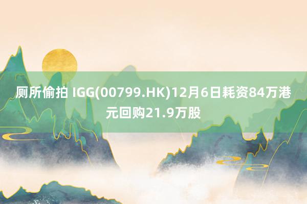 厕所偷拍 IGG(00799.HK)12月6日耗资84万港元回购21.9万股