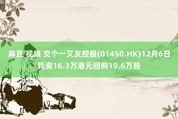 麻豆 视频 交个一又友控股(01450.HK)12月6日耗资16.3万港元回购19.6万股