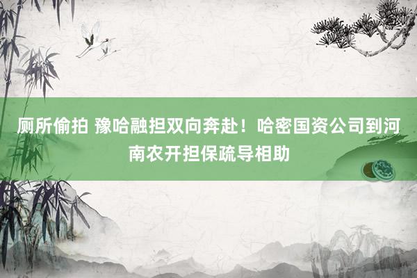 厕所偷拍 豫哈融担双向奔赴！哈密国资公司到河南农开担保疏导相助