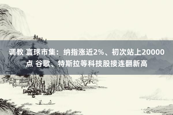 调教 寰球市集：纳指涨近2%、初次站上20000点 谷歌、特斯拉等科技股接连翻新高